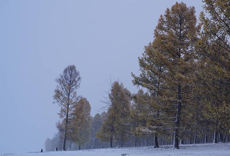 Нийт нутгийн 68 хувьд цастай байна