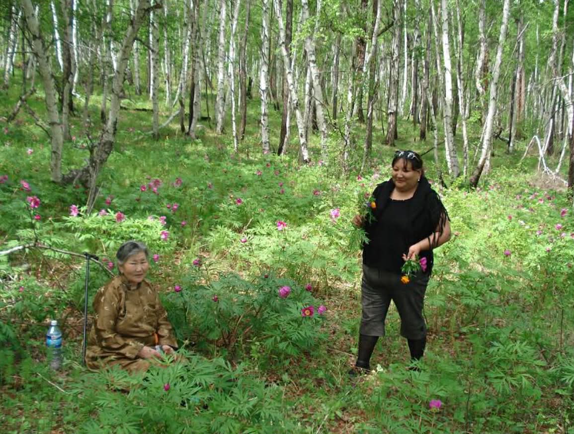 ЭЭЖ БИД ХОЁР