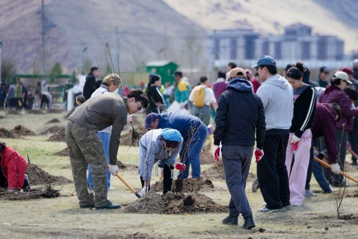 10 МЯНГАН МОД ТАРЬЖ, НОГООН ИРЭЭДҮЙГ БҮТЭЭНЭ